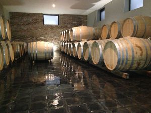 locale elevazione1