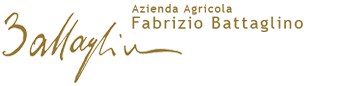 Azienda Agricola Fabrizio Battaglino